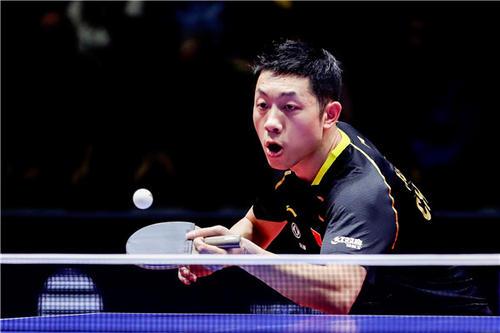 迷敲响了斯 迷敲响了斯