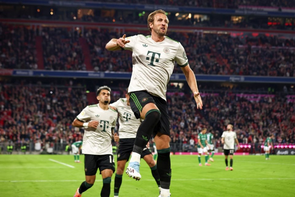 美感吸引 美感吸引